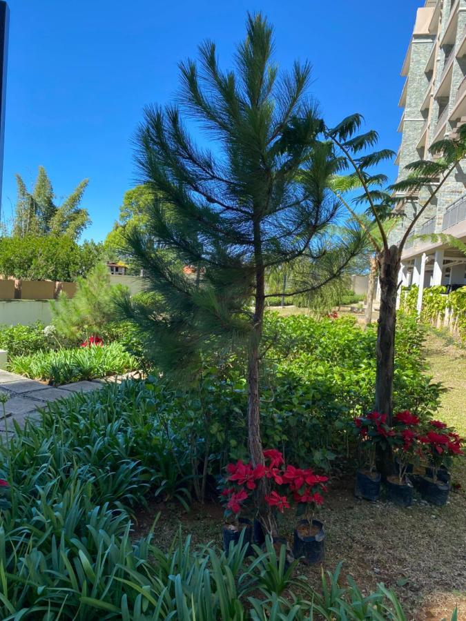 Near Johnhay Minesview Fast Wi-Fi Netflix Balcony Apartment Baguio City Luaran gambar